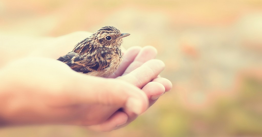 இன்றைய இறைமொழி வெள்ளி, 20 அக்டோபர் 2023&nbsp;அஞ்சாதீர்கள்!