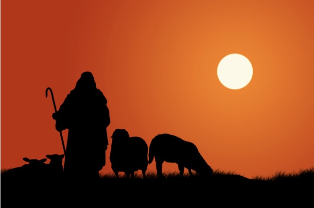 இன்றைய இறைமொழி. செவ்வாய், 12 டிசம்பர் 2023. தேற்றுகிற, தேடுகிற&nbsp;கடவுள்!