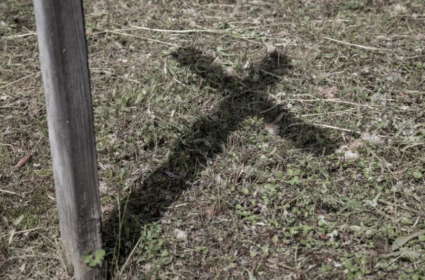 இன்றைய இறைமொழி. செவ்வாய், 26 டிசம்பர் 2023. கிறிஸ்துவின்&nbsp;நிழல்