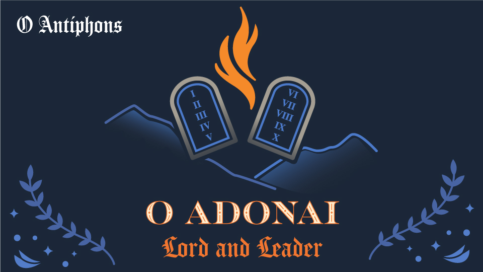 இன்றைய இறைமொழி. திங்கள், 18 டிசம்பர் 2023. ஆண்டவரே, வாரும்!