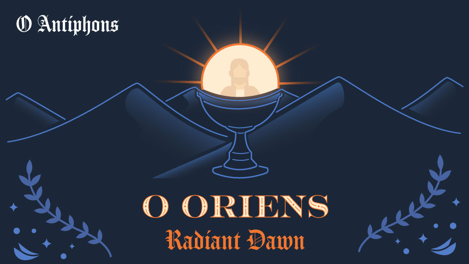 இன்றைய இறைமொழி. வியாழன், 21 டிசம்பர் 2023. ஓ விடியலே, வாரும்!