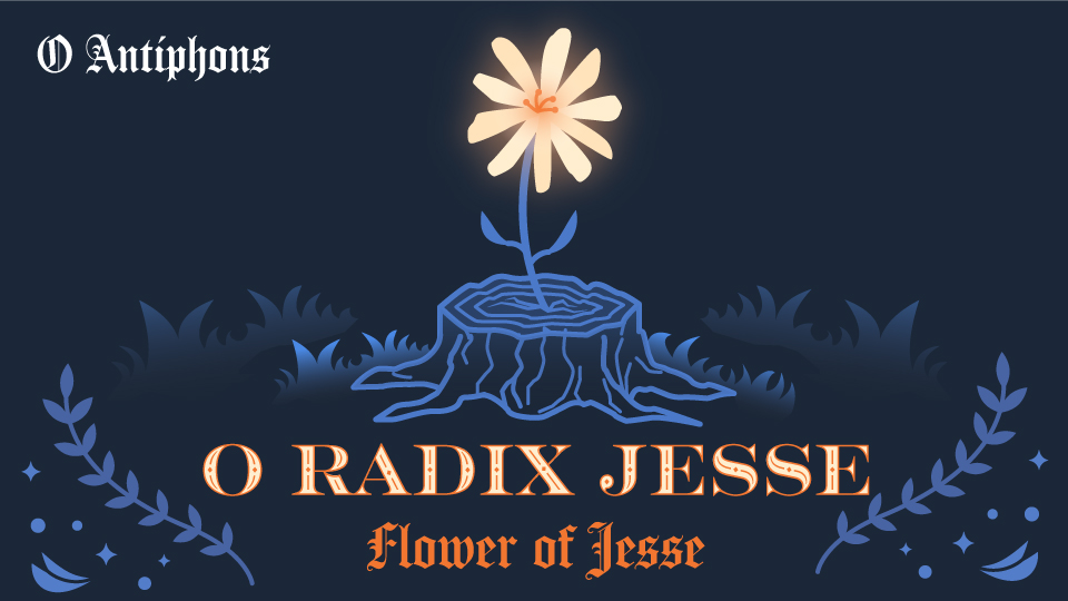 இன்றைய இறைமொழி. செவ்வாய், 19 டிசம்பர் 2023. ஈசாயின் தளிரே, வாரும்!