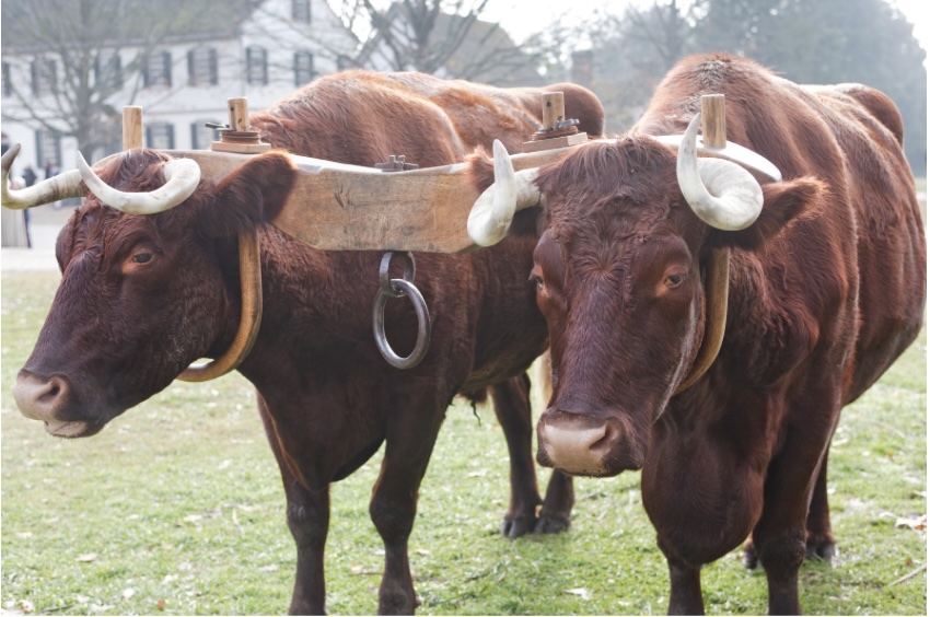 இன்றைய இறைமொழி. வியாழன், 14 மார்ச் 2024. கடின&nbsp;உள்ளம்