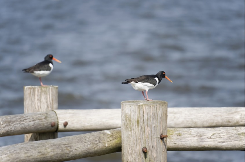 இன்றைய இறைமொழி.  வெள்ளி, 22 மார்ச் 2024. இரு&nbsp;புலங்கள்
