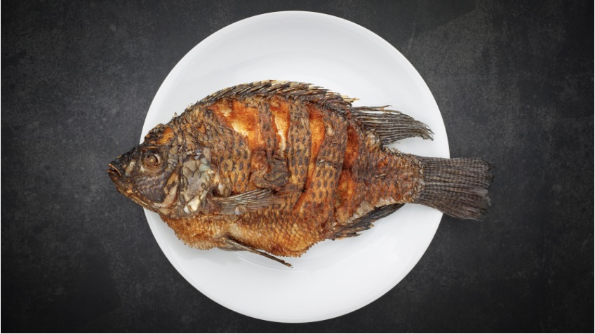 இன்றைய இறைமொழி. ஞாயிறு, 14 ஏப்ரல் 2024. நீங்கள்&nbsp;சாட்சிகள்!