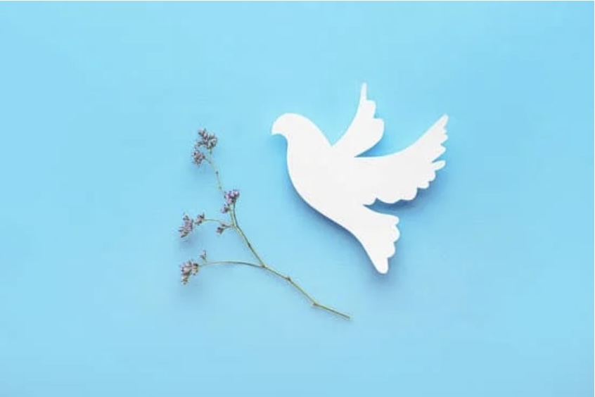 Daily Catholic Lectio. Tue, 30 Apr 2024. Peace to&nbsp;you!