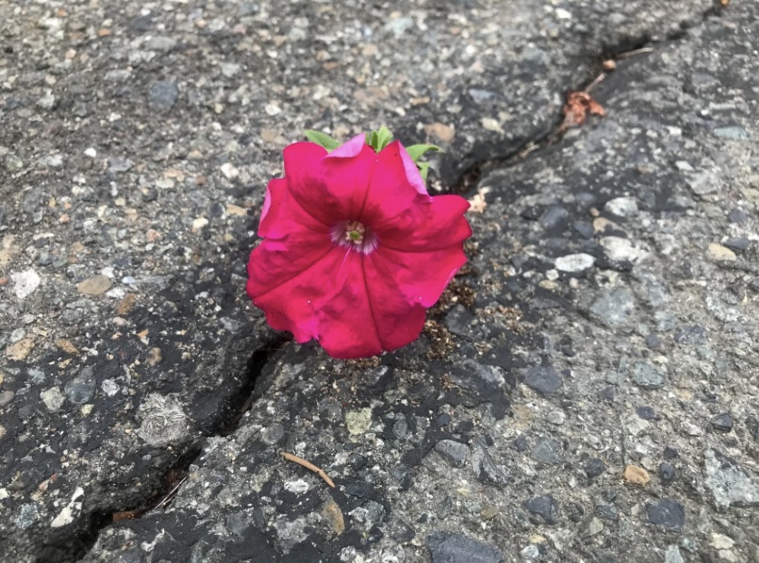 இன்றைய இறைமொழி. சனி, 6 ஏப்ரல் 2024. அவர்கள் இயேசுவோடு&nbsp;இருந்தவர்கள்!