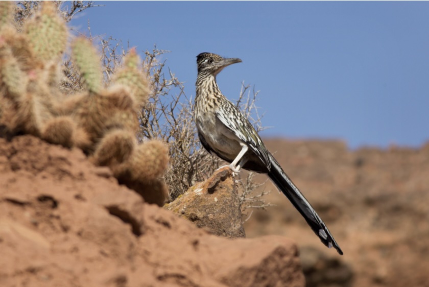 இன்றைய இறைமொழி. சனி, 11 மே 2024. தந்தையிடம்&nbsp;செல்கிறேன்