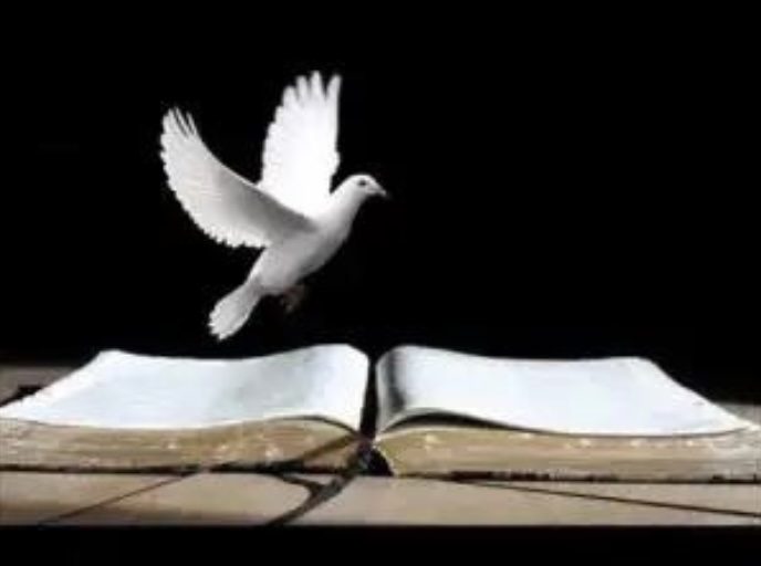 இன்றைய இறைமொழி. செவ்வாய், 7 மே 2024. புதிய உலகம்