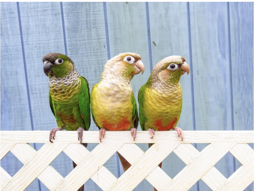 இன்றைய இறைமொழி. திங்கள், 17 ஜூன் 2024. தீமையை&nbsp;வெற்றிகொள்தல்