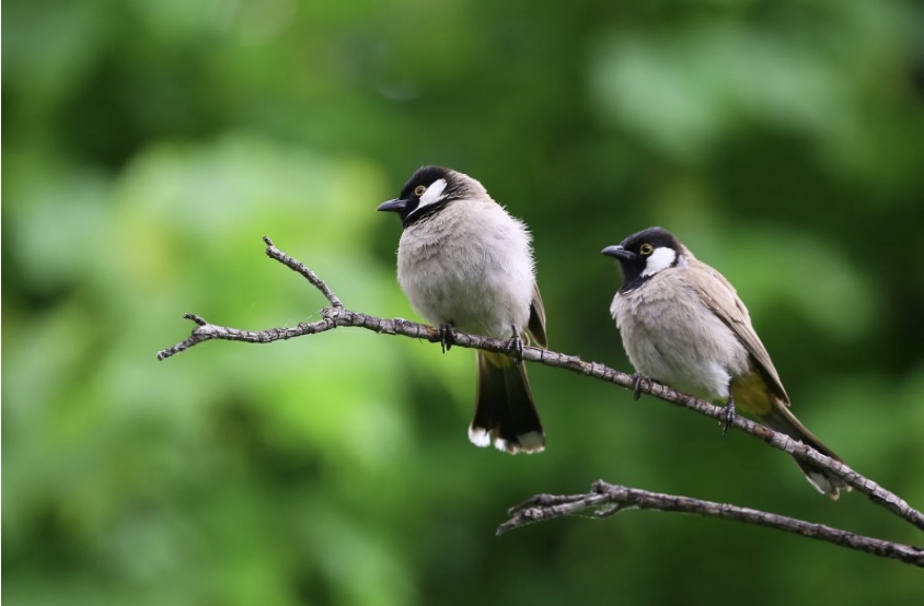 இன்றைய இறைமொழி. சனி, 22 ஜூன் 2024.&nbsp;நாளைக்காக