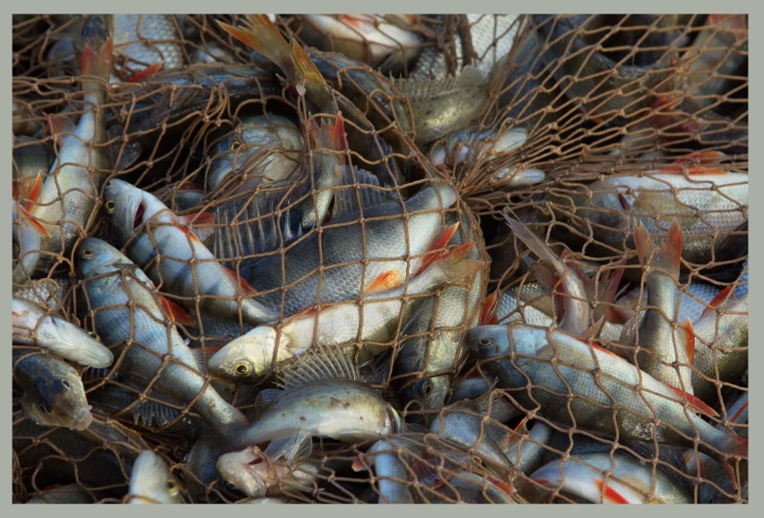 இன்றைய இறைமொழி. வியாழன், 1 ஆகஸ்ட் ’24.&nbsp;தகுதியாக்குதல்!