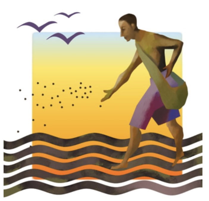 இன்றைய இறைமொழி. புதன், 24 ஜூலை 2024. ஒவ்வொரு நிலத்திலும்&nbsp;விதை!