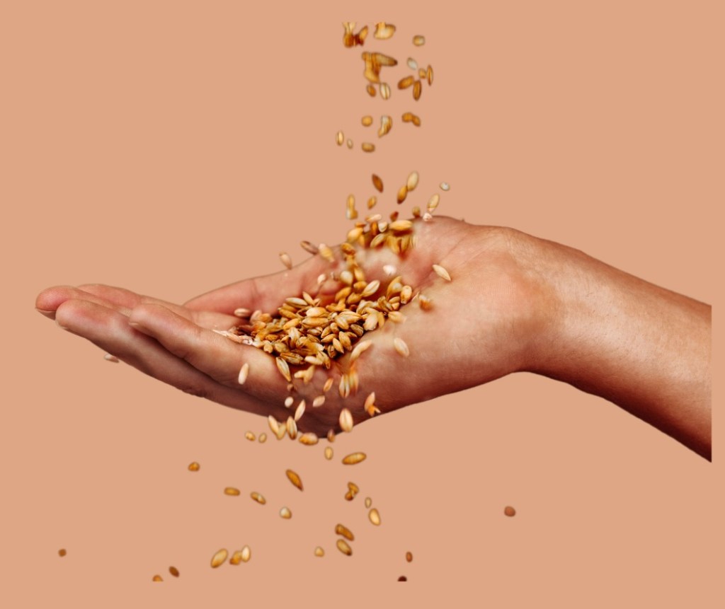 இன்றைய இறைமொழி. செவ்வாய், 30 ஜூலை 2024. நாமே விதைகள்