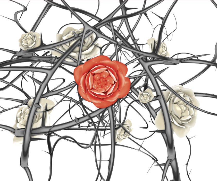 Daily Catholic Lectio. Sun, 7 July 2024. Strength in weakness!