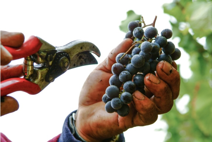 இன்றைய இறைமொழி. புதன், 21 ஆகஸ்ட் ’24. நீங்களும் நானும்