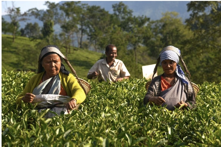 Daily Catholic Lectio. Wed, 28 Aug ’24. Work and discipline