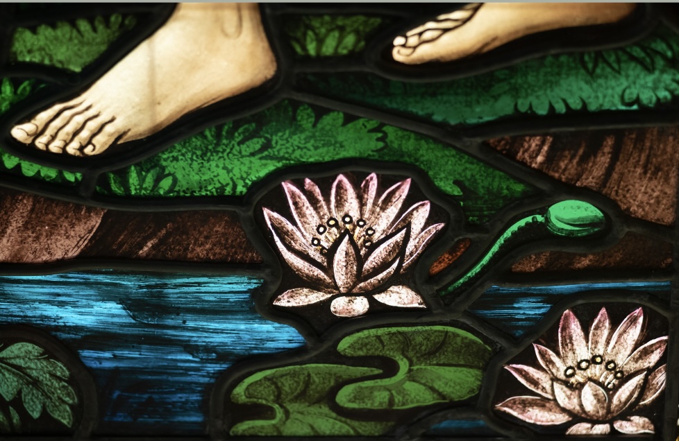 இன்றைய இறைமொழி. சனி, 3 ஆகஸ்ட் ’24. ஏரோதுவின் அறிக்கை