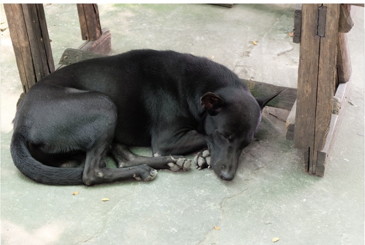 Daily Catholic Lectio. Wed, 7 Aug ’24. Great&nbsp;faith!