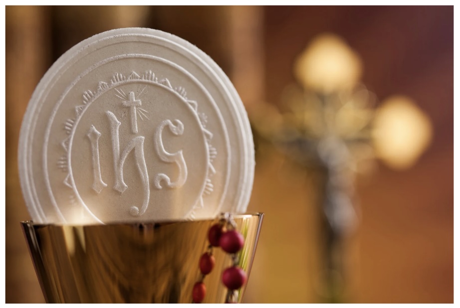 இன்றைய இறைமொழி. செவ்வாய், 6 மே ’25. கடவுள் தரும்&nbsp;உணவு