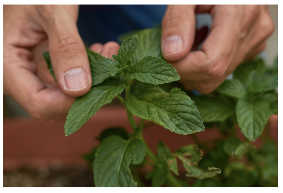 Daily Catholic Lectio. Sun, 10 Aug ‘25. Are We Takers or&nbsp;Givers?