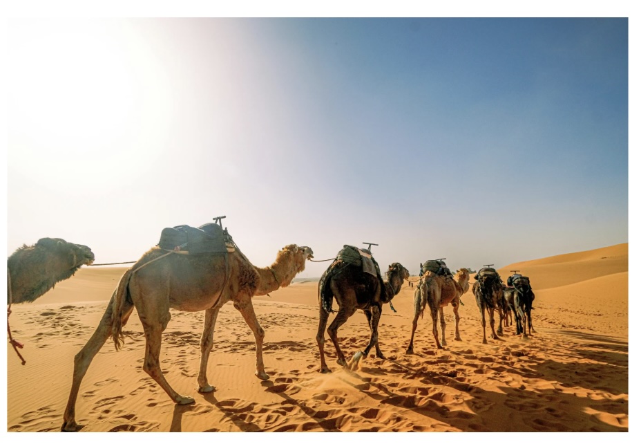 இன்றைய இறைமொழி. புதன், 12 நவம்பர் ’25. திரும்பி&nbsp;வருதல்