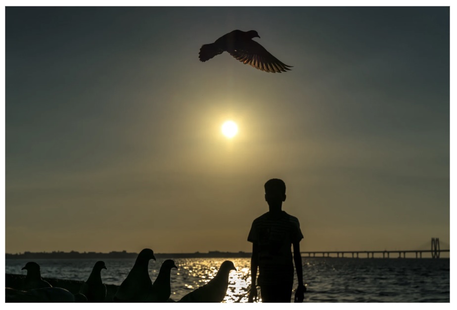 இன்றைய இறைமொழி. திங்கள், 9 பிப்ரவரி ’26. ஆண்டவரின்&nbsp;இல்லம்