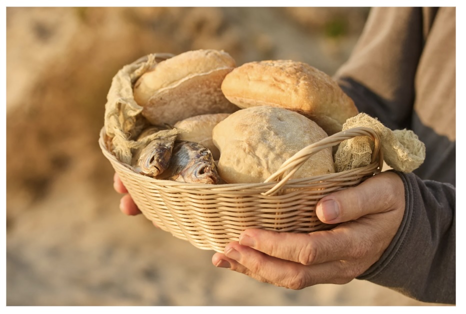 இன்றைய இறைமொழி. சனி, 14 பிப்ரவரி ’26. மீண்டும்&nbsp;பரிவு